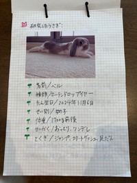 今回研究したベルちゃん（親御さん提供）