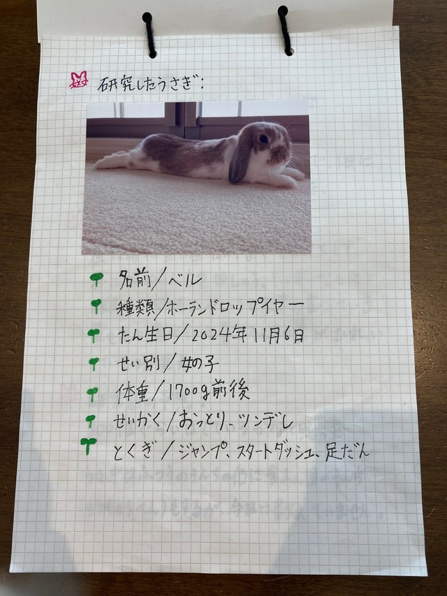 今回研究したベルちゃん（親御さん提供）