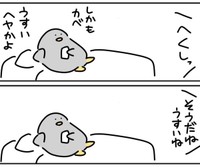 会話できるほど壁が薄い…（しらす中納言さん提供）
