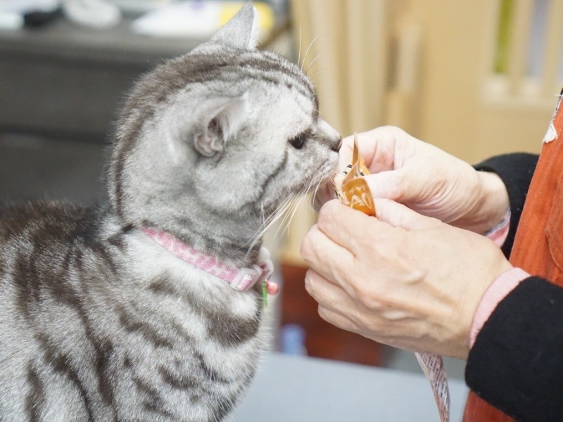 おやつちょうだい！