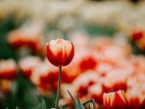 「お前が？」。そう言われることが怖くて、化粧が好きといえなかった