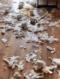 ボロボロ散り散りトイレットペーパーの”海”と化したリビングが話題に(阿部さん提供、Instagramよりキャプチャ撮影)