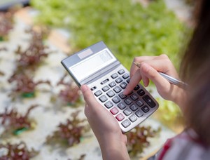 倍率地域にある土地はどう評価すべき？　計算の流れと必要な資料を不動産鑑定士が解説