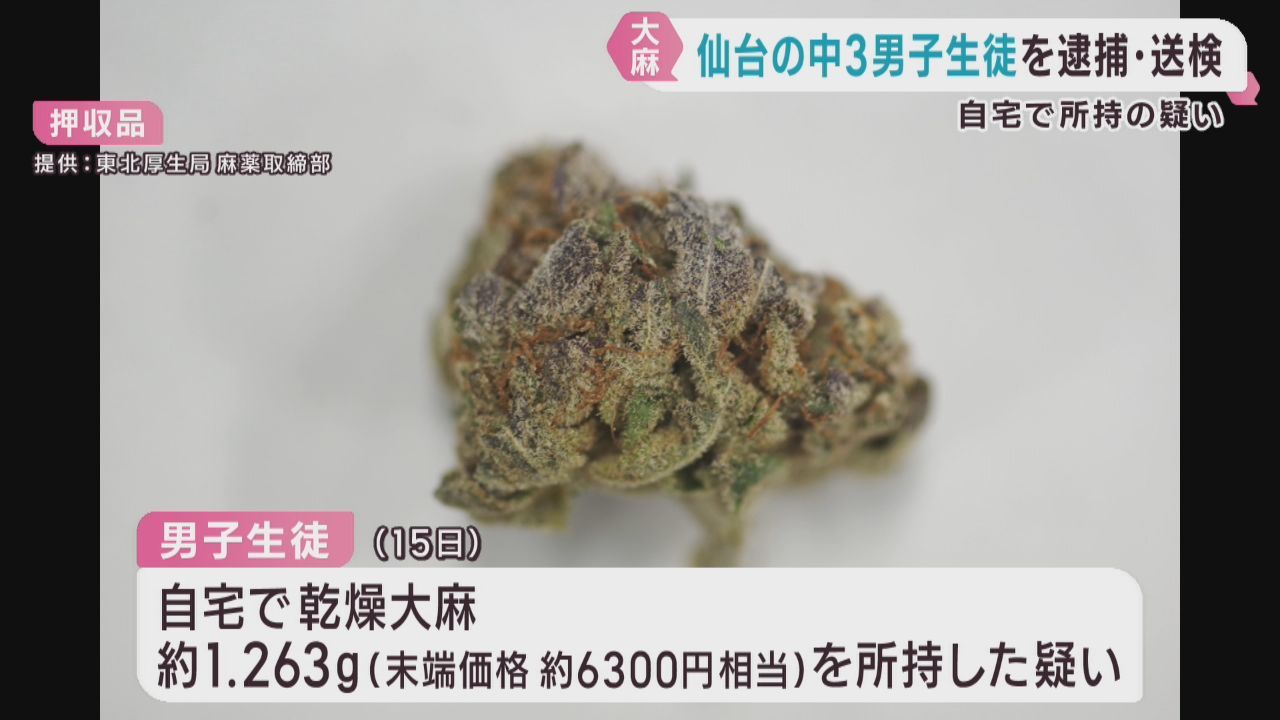 自宅で大麻を所持した疑い　仙台市の中学３年男子生徒を逮捕