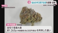 自宅で大麻を所持した疑い　仙台市の中学３年男子生徒を逮捕