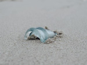 上司からの電話にでるという「当たり前」のことが出来なくなった。退職を告げた