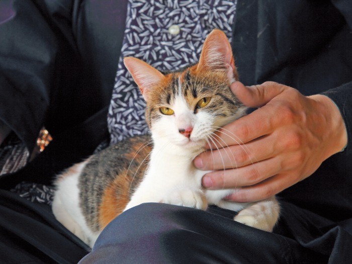 「辰さんはワタシのもの」とでも言いたげな芽吹きちゃん