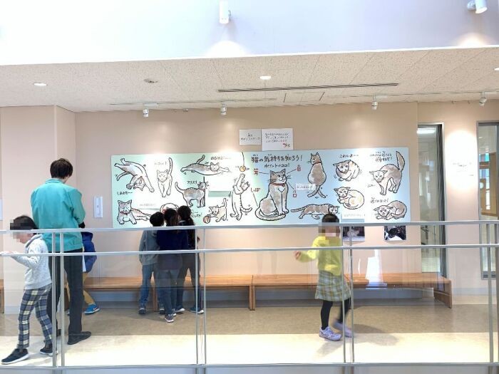 温かみのあるイラストで猫や犬の気持ちが学べます。うれしいや悲しいといった感情があることを知れば、ひどい扱いをする大人になることはないでしょう