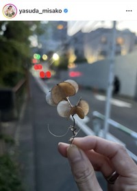 安田美沙子のインスタグラム＠yasuda_misakoより