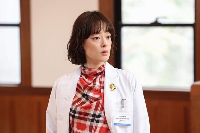 ギャラリー | 「なんでこんなに涙が出るのか」市川実日子が凄腕獣医師