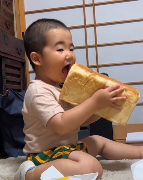 静かになったな～……2歳息子がパンどろぼうに 2斤の食パンがぶり