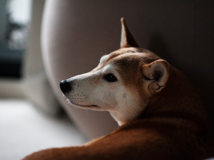 「ママありがとう」（小林写函撮影）