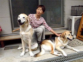 シニアになって飼った大型犬の子犬　犬仲間との交流が元気の源