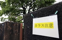 大津地裁正門に貼られた「カラス注意」のプラカード