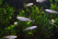 画像はイメージです（ken／stock.adobe.com）