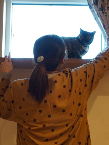 「明るいし最高だよ」