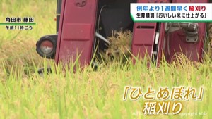 宮城県南地域で稲刈りが始まる　高温で生育順調　例年より１週間早い刈り取り