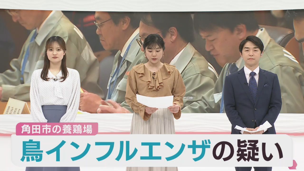 宮城・角田市の養鶏場で鳥インフルエンザが疑われる事例