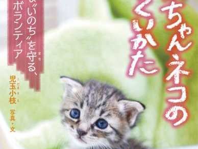 子猫にミルク与えるボランティア　殺処分ゼロに貢献