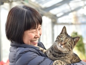 おっとりみんなを和ませる　老舗種苗店のビッグな看板猫「山ちゃん」