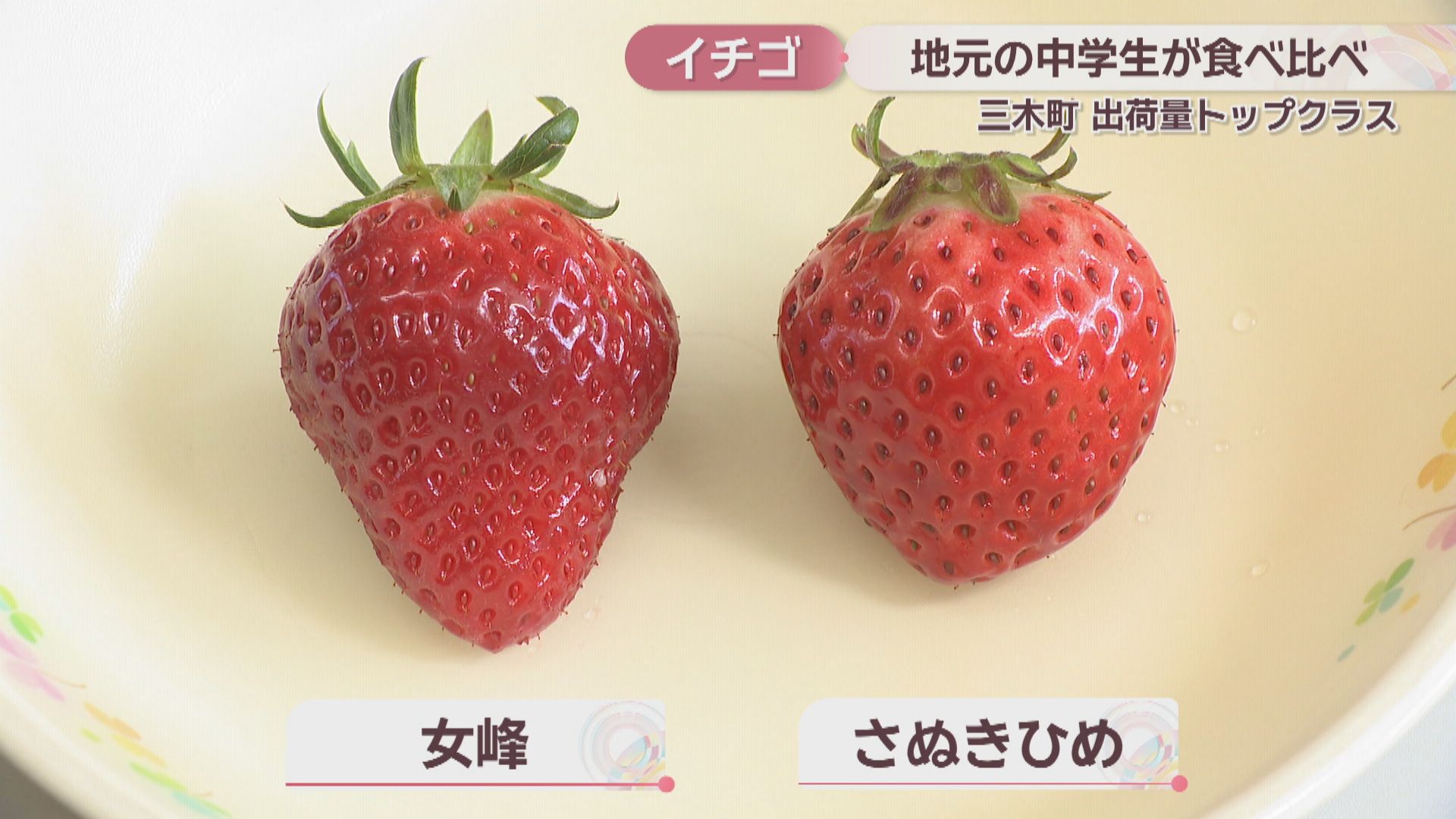 21aa224a0649e8de4e0d5a735f5d31