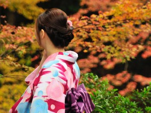 戦略の失敗で滅びないで。日常的に身に着ける着物という文化