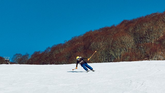 写真・図版
