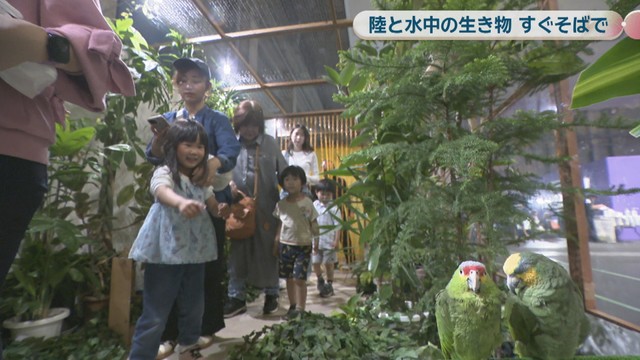 いきものワールド in コンベックス岡山