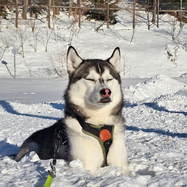 素人は黙っとれ。（提供：ムイさん）
