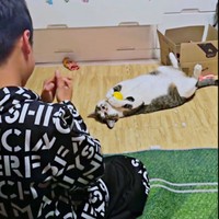お兄ちゃんが拍手をして褒めると、きょとんとした表情を浮かべるたいちょうくん（画像提供：井上 えりさん）