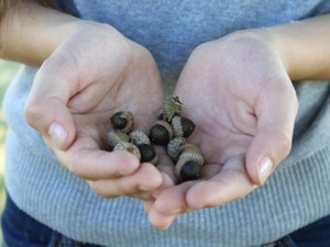 例えだったとしても許せない。母の職業を馬鹿にした先生を呼び出した
