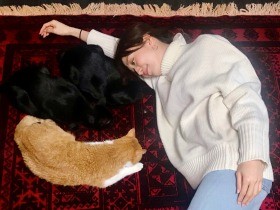殺処分が迫る犬や猫の「命の期限」　迷いながらも伝え続けるわけ