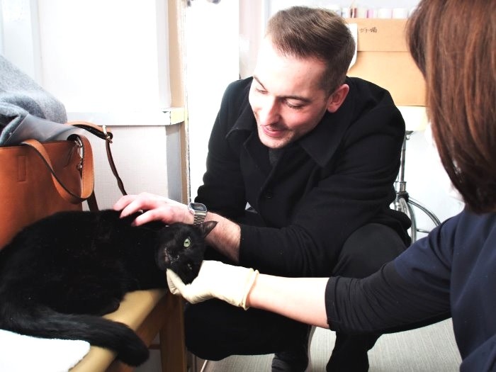 フレンドリーな性格の温厚な猫