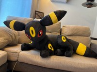 3人掛けソファを陣取るサイズのブラッキー／まなみさん（@met_manami）提供