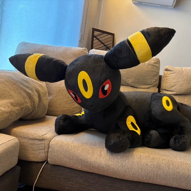 3人掛けソファを陣取るサイズのブラッキー／まなみさん（@met_manami）提供