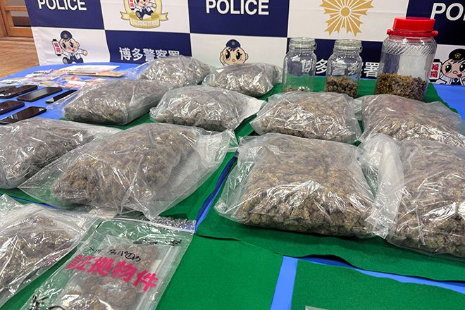 Number of people detained for cannabis-related crimes hits high