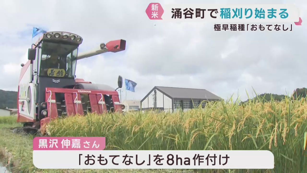早くも稲刈り　極早生種おもてなし　宮城・涌谷町
