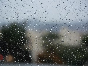 本当の自分って、どんなだっけ？忘れちゃった