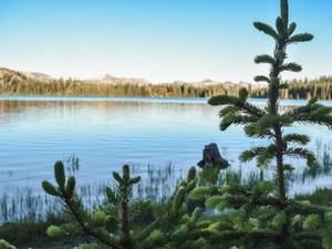 空腹になったら食べ、入浴し、寝る。人間的な営みは私を元気にする