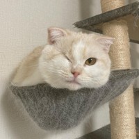 ラテちゃん、ちょっと顔が入らないね…(笑)