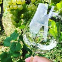 クリーンでバランスのいい味わいが特徴