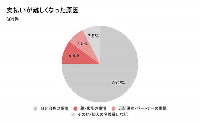 支払いが難しくなった原因（提供画像）