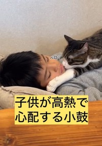 心配そうに息子さんの顔をなめたりして、離れようとしなかった（「小判つる姫あさひ」さん提供、Instagramよりキャプチャ撮影）