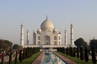 インド自体を否定したいわけではないといのこうさん（いのこうさん提供）