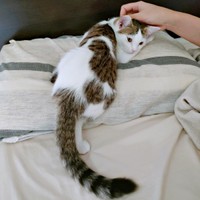 2024年7月、すくすくと成長しているむぎちゃん（画像提供：あるくきくらげさん）