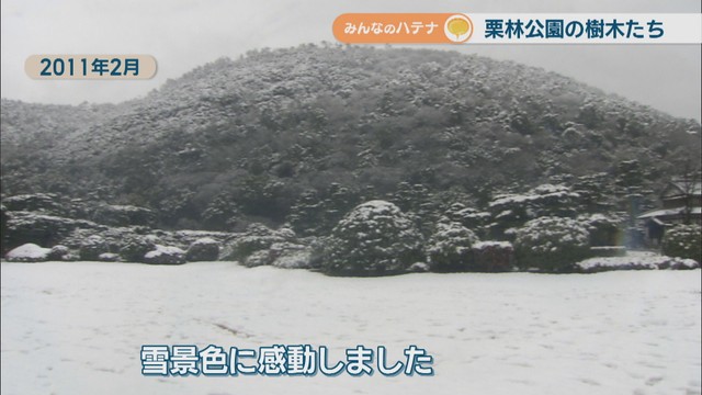 2011年2月