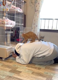 2匹乗っちゃいました・・・（三吉さん提供、動画よりキャプチャ撮影）