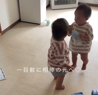 迷わず双子ちゃんの相方へ…！（提供：＠94_minimumさん）