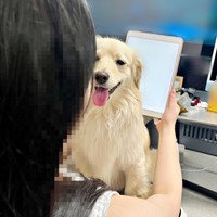 本を読みたいママvs注目してほしいとろろくん（画像提供：ポメックスのとろろくん）