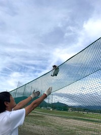 救出役を買って出たのは、猫を4匹飼っている営業マン（「大山カントリー」さん提供）